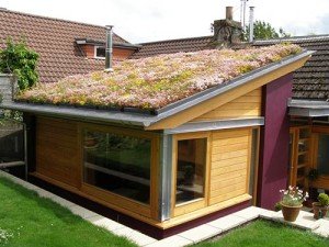 Sedum blanket system green roof