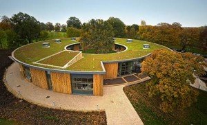 British Horse Society Green Roof