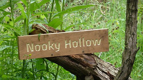Nooky Hollow PS