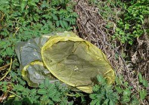 Not so beautiful now - sky lanterns on the ground